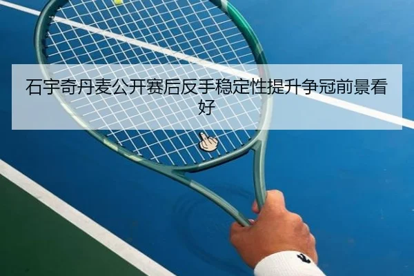 石宇奇丹麦公开赛后反手稳定性提升争冠前景看好